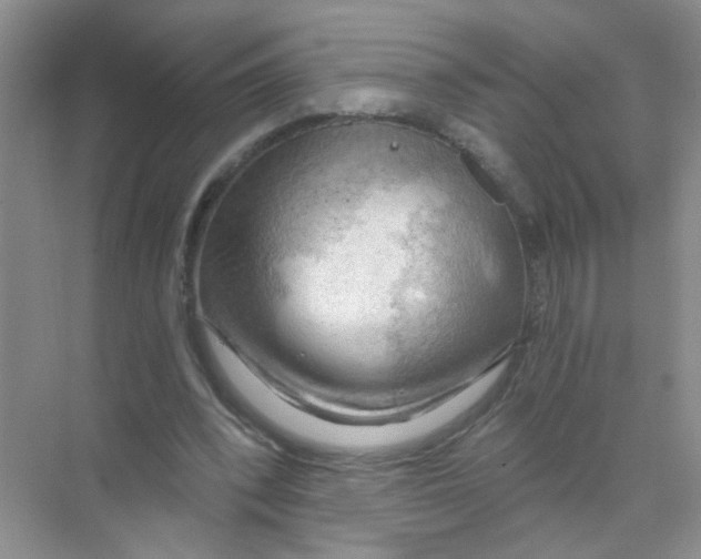 X0000068900392200606021951