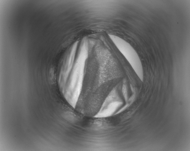 X0000068900420200606021950