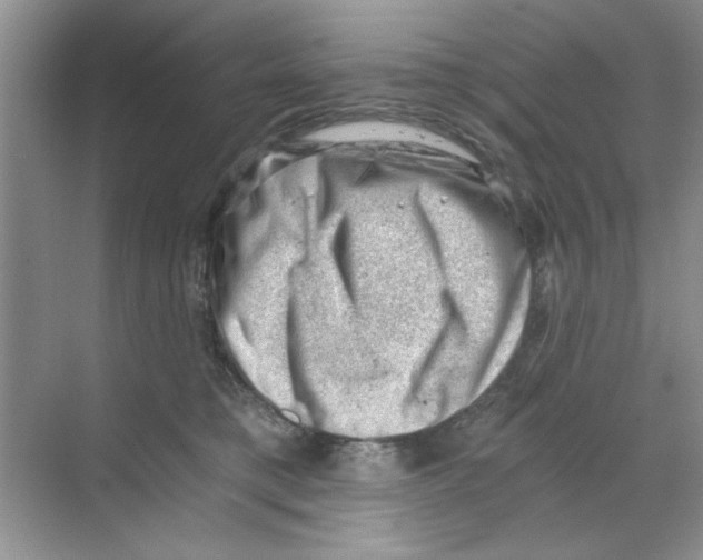 X0000068900421200606021950