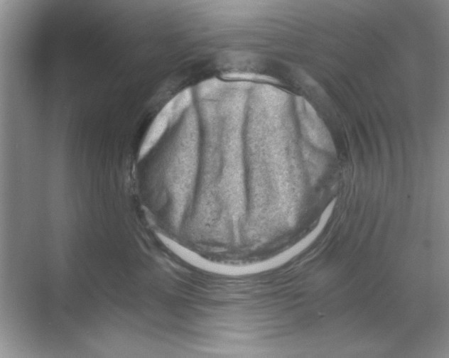 X0000068900429200606021950