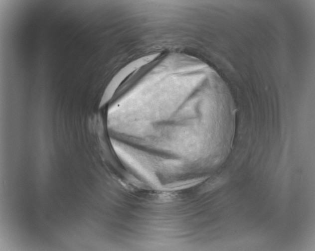 X0000068900432200606021950