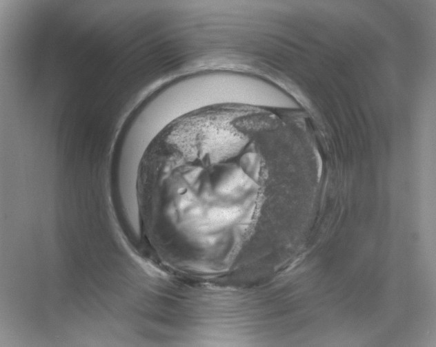 X0000068900438200606021949