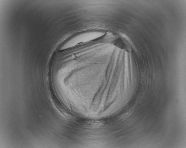X0000068900443200606021949