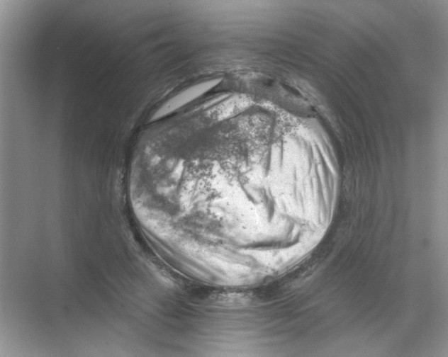 X0000068900449200606021949