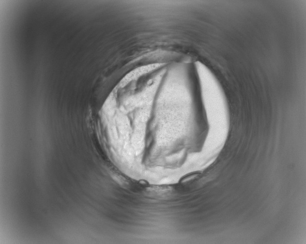 X0000068900480200606021950