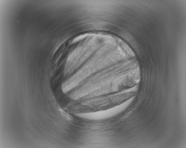 X0000068900481200606021949