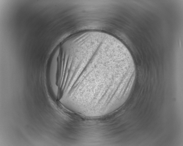 X0000068900482200606021949