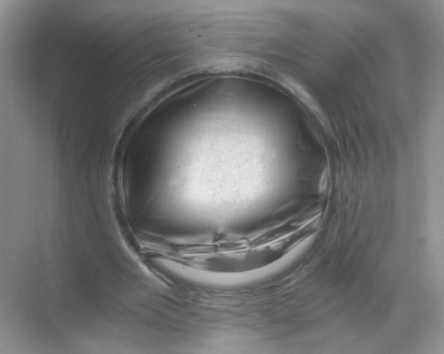 X0000068900485200606021949