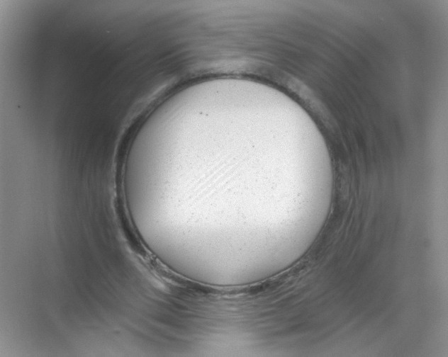 X0000068900486200606021949
