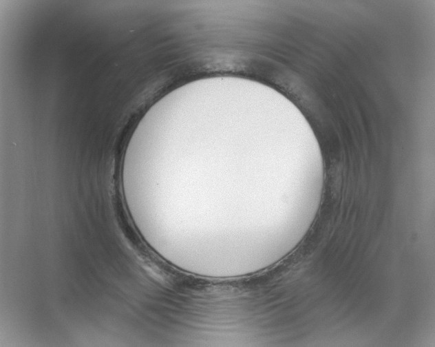 X0000068900490200606021949
