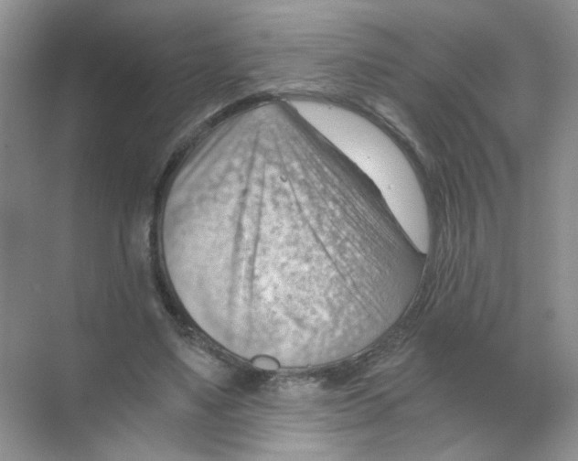 X0000068900491200606021949