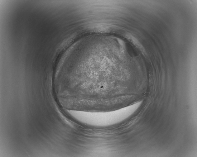 X0000068900493200606021949
