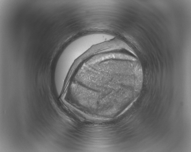 X0000068900494200606021949