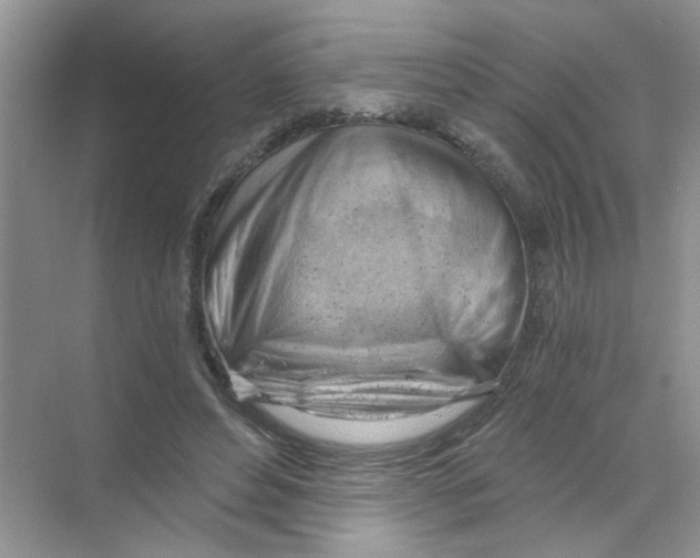 X0000068900496200606021949