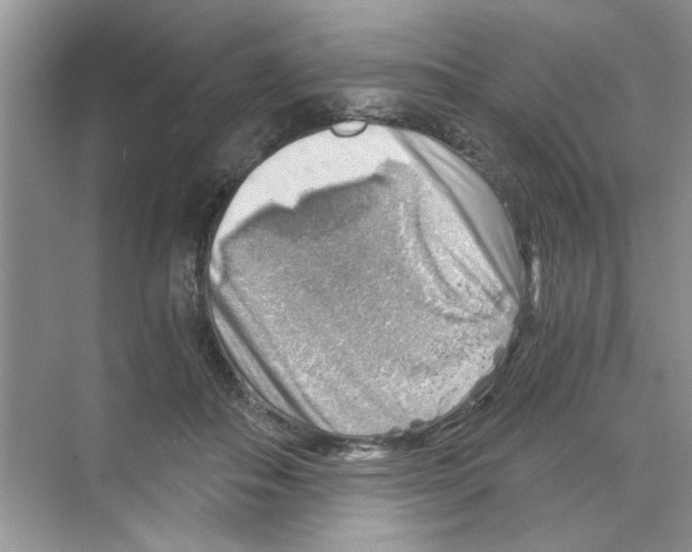 X0000068900506200606021949