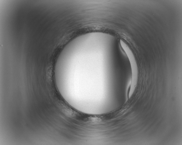 X0000068900509200606021949