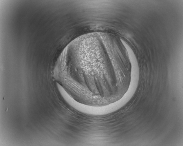 X0000068900513200606021949