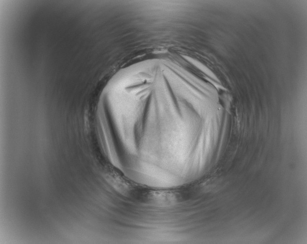 X0000068900520200606021948
