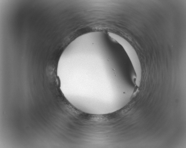 X0000068900521200606021948