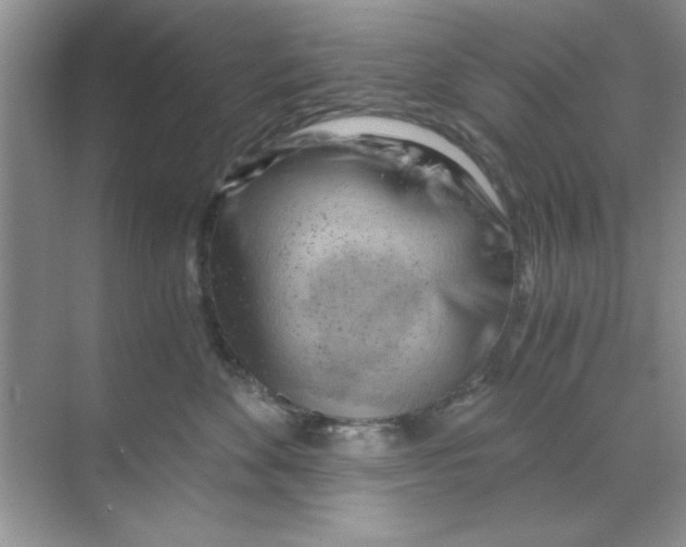 X0000068900524200606021948