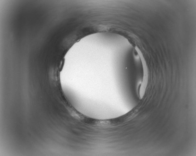 X0000068900525200606021948