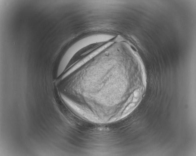 X0000068900543200606021948