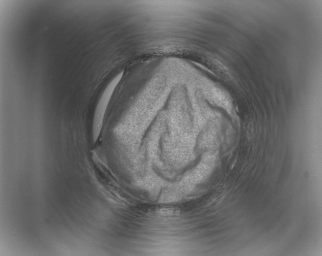 X0000068900546200606021948