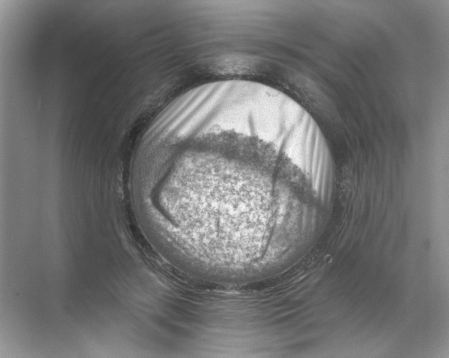 X0000068900547200606021948