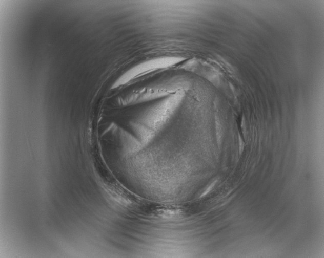 X0000068900552200606021948