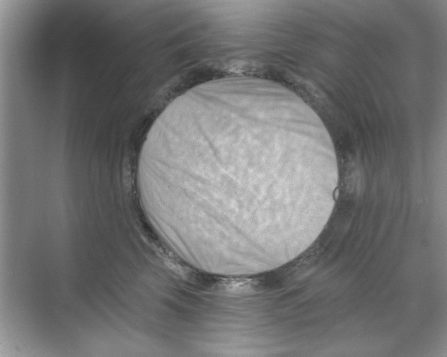 X0000068900569200606021948