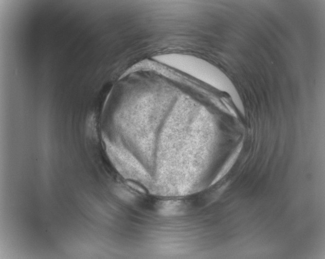 X0000068900575200606021948