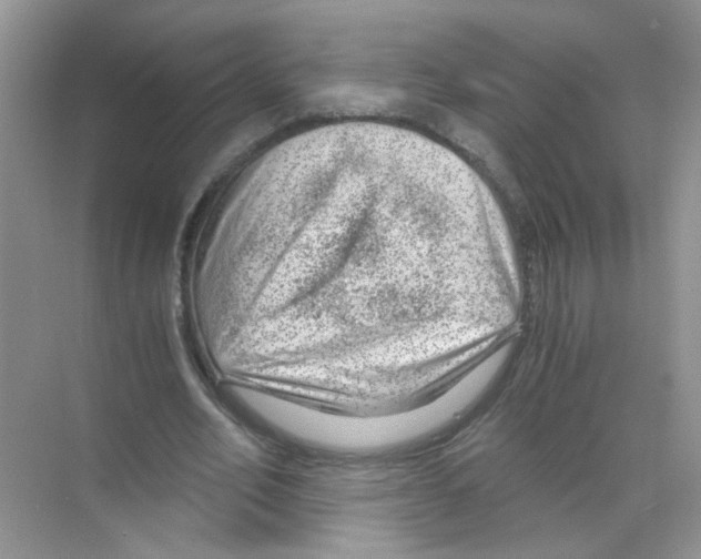 X0000068900582200606021947