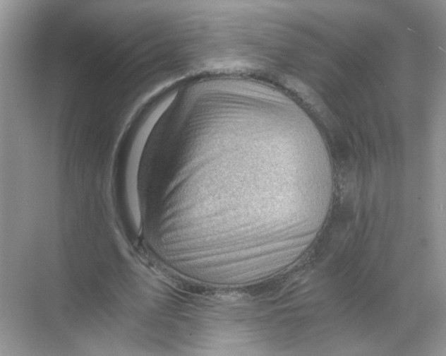 X0000068900583200606021947