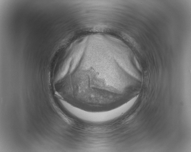 X0000068900589200606021947