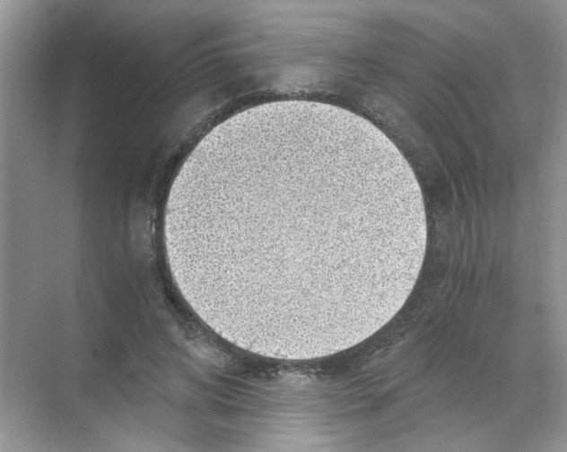 X0000068900592200606021947