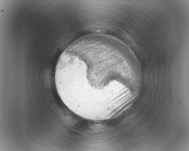 X0000068900594200606021947