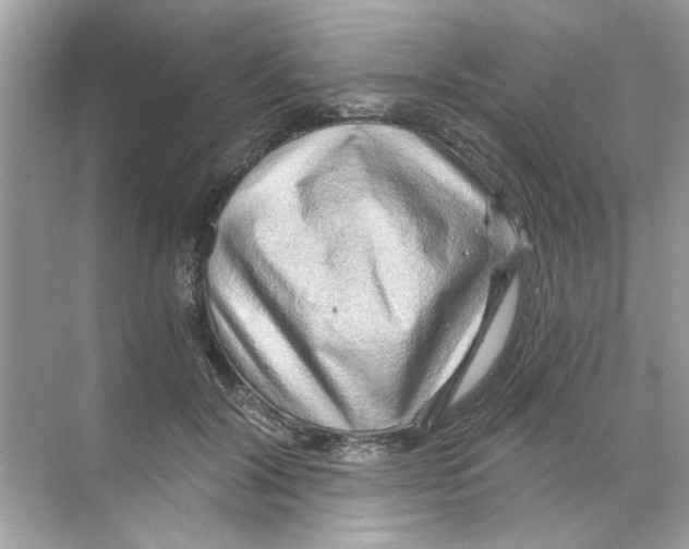 X0000068900604200606021947