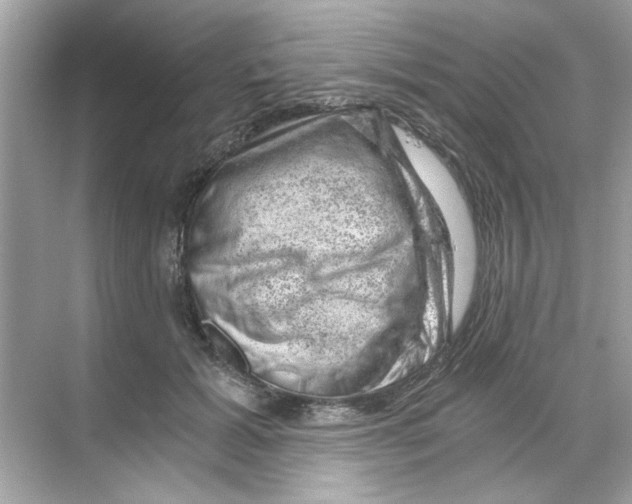 X0000068900605200606021947