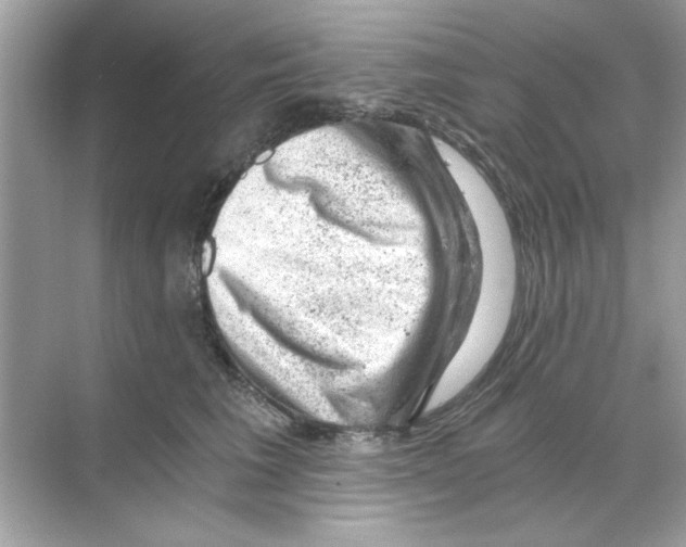 X0000068900613200606021947