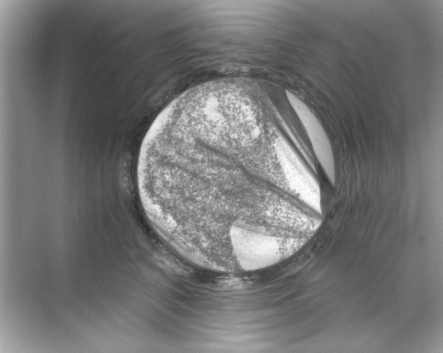 X0000068900616200606021947