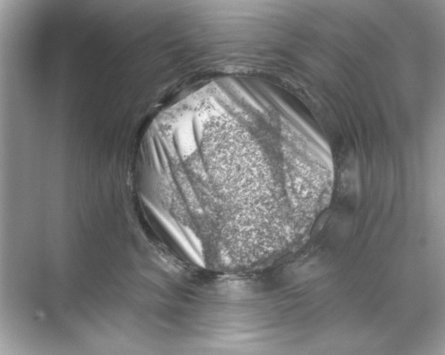 X0000068900620200606021947