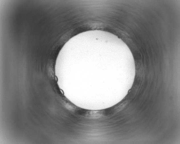 X0000068900622200606021947