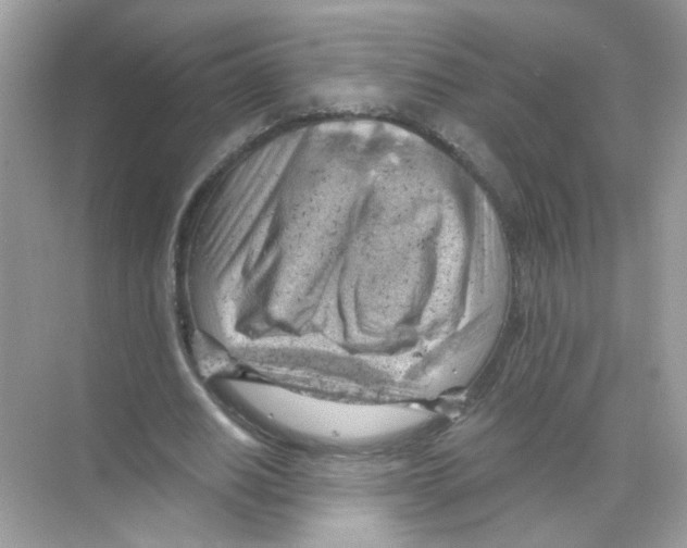 X0000068900630200606021946