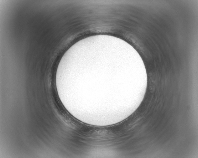 X0000068900631200606021946