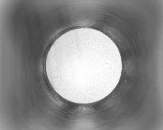 X0000068900632200606021946