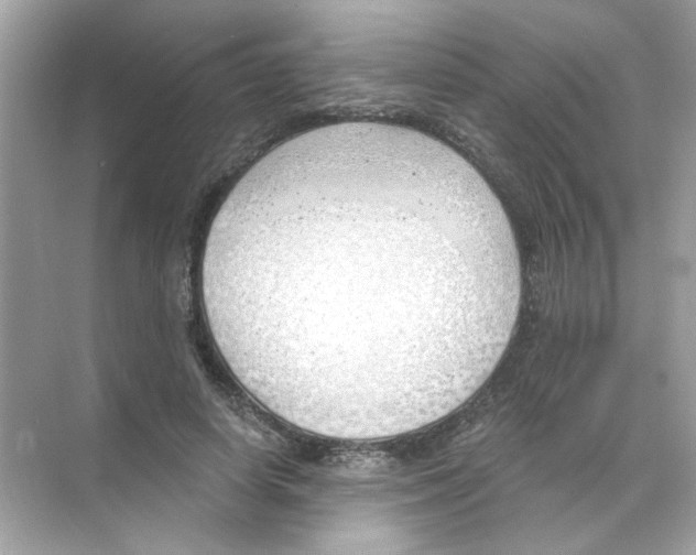 X0000068900642200606021946
