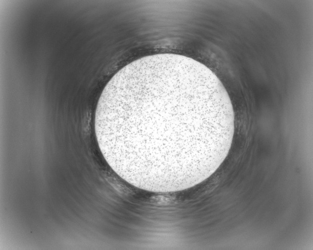 X0000068900660200606021946