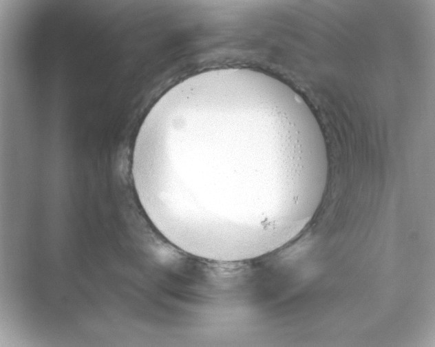 X0000068900672200606021947