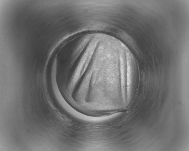 X0000068900676200606021946
