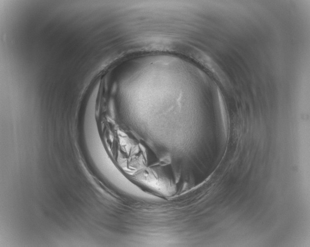 X0000068900677200606021946